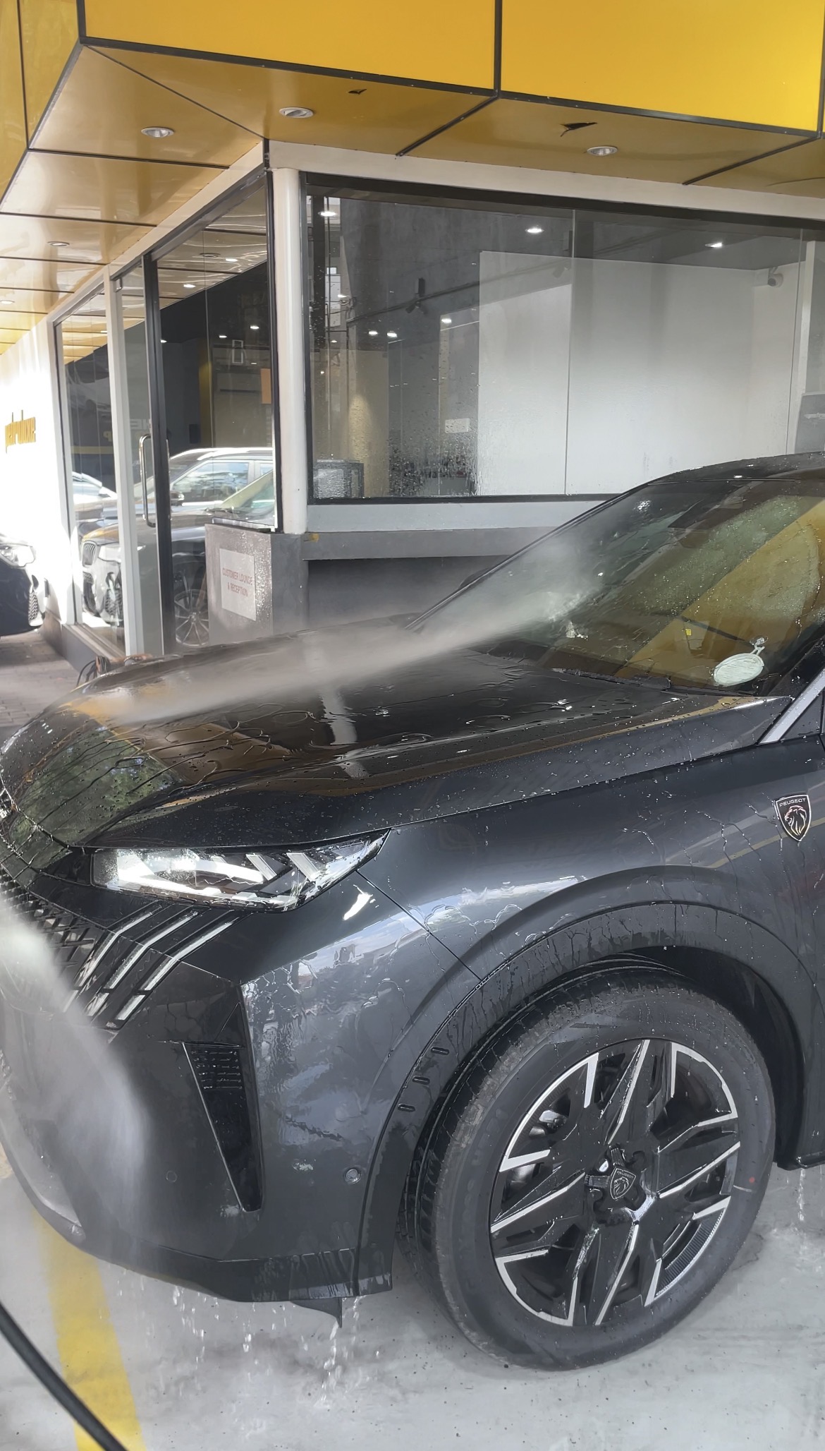 Paint Correction & Detailing